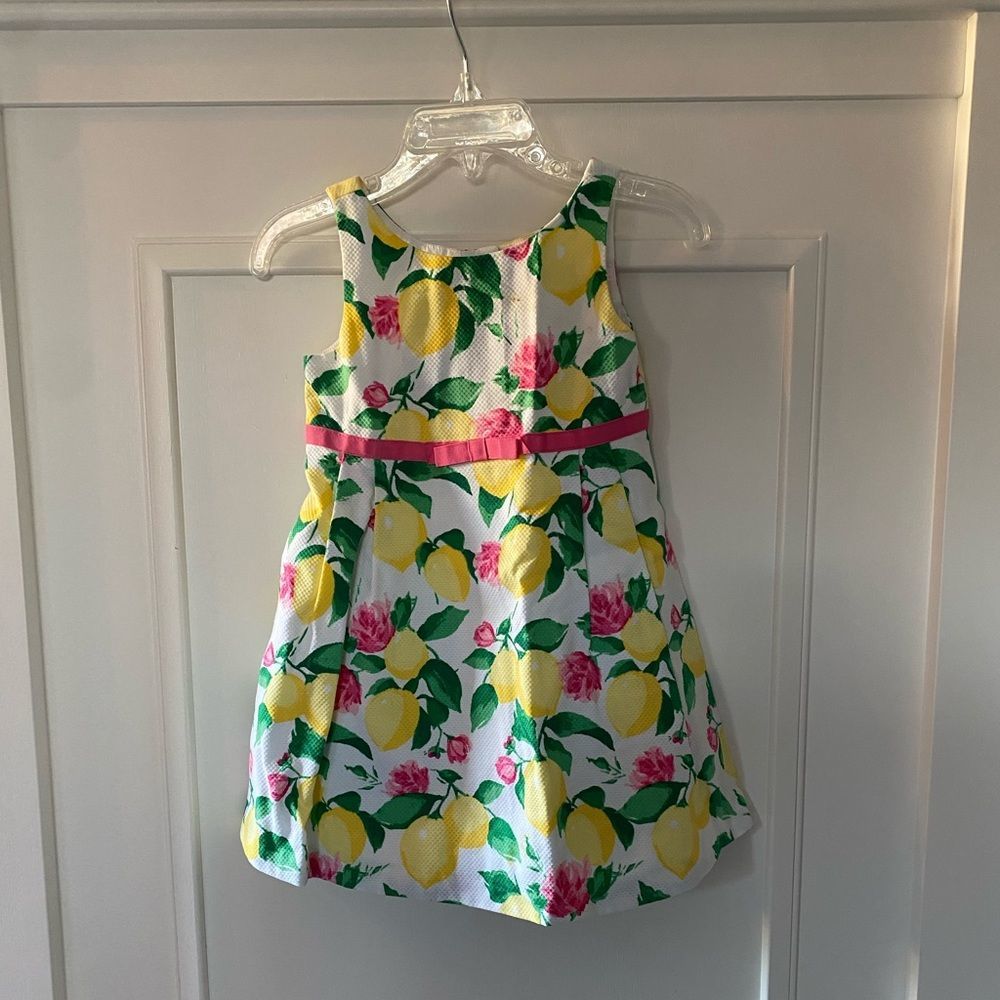 Janie and Jack Toddler Dress